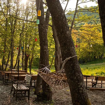 Abant Zuemruet Dag Evi Bed & Breakfast *