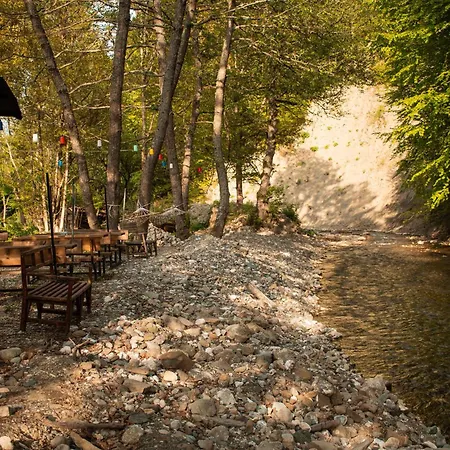 Bed & Breakfast Abant Zuemruet Dag Evi