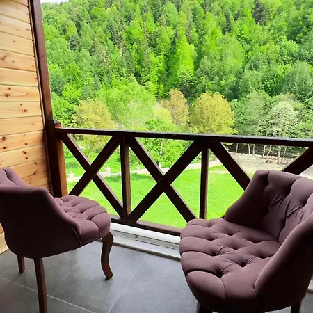 Bed & Breakfast Abant Zuemruet Dag Evi Dereceoren